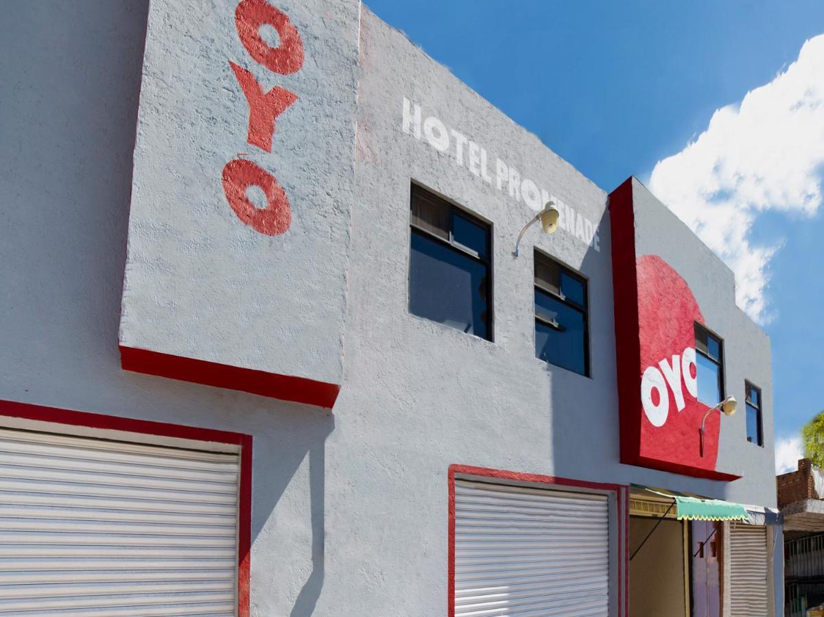 Oyo Promenade,Terminal Central De Autobuses De Guanajuato Kültér fotó
