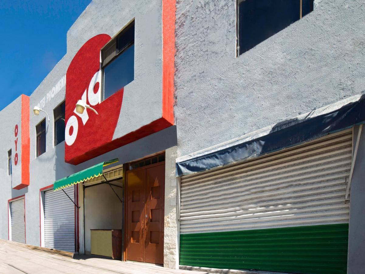 Oyo Promenade,Terminal Central De Autobuses De Guanajuato Kültér fotó