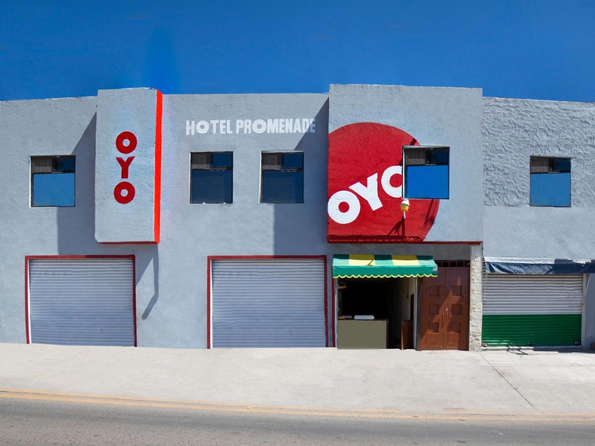 Oyo Promenade,Terminal Central De Autobuses De Guanajuato Kültér fotó